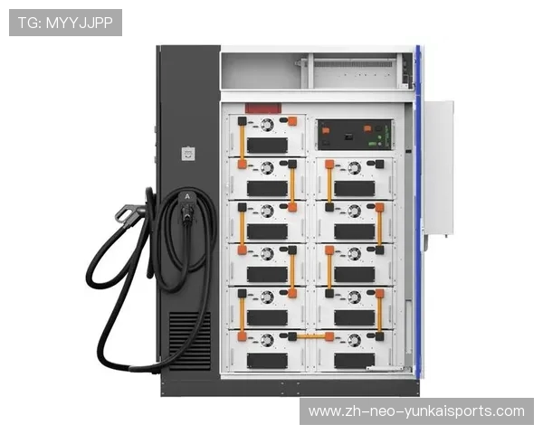 17万的储能一体机也能网购？今年“双11”成了储充设备“种草”节