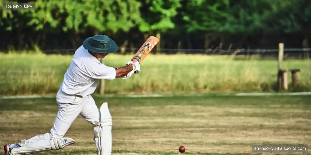 🌐📺 全球直播，同步狂欢！